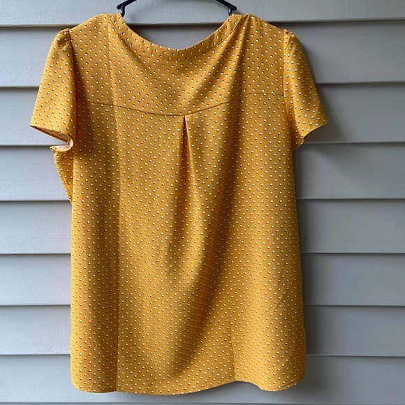 Gently Worn Hilary Radley Cool, Soft, Lightweight Short Sleeve Top w/Polkadots - Picture 3 of 16